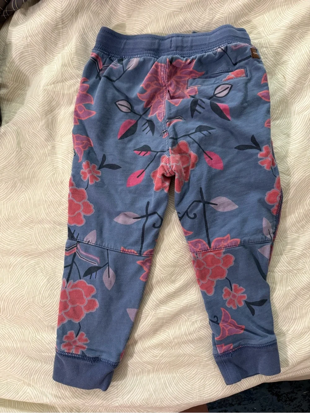 Kids size 3 Tea Collection Blue Floral Hooded Jacket and Joggers Set